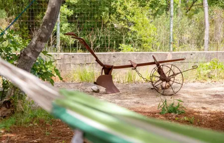 Location Maison 12 personnes à Posedarje - Photo 17