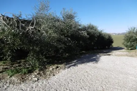 Vino, Appartement 4 personnes à Fermo - Photo 16