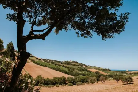 Vino, Appartement 4 personnes à Fermo - Photo 21