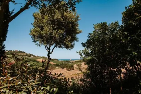 Vino, Appartement 4 personnes à Fermo - Photo 33