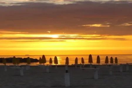 Olio, Appartement 4 personnes à Fermo - Photo 33