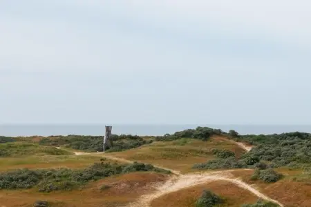 Dynastie - 0203, Appartement 6 personnes à De Panne - Photo 26