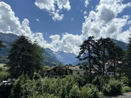 Mountain View, Appartement 6 personnes à Frutigen - Photo 8