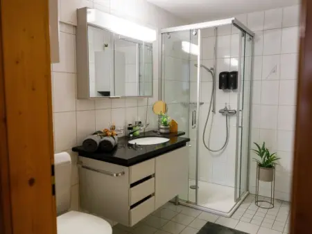 Mountain View, Appartement 6 personnes à Frutigen - Photo 24