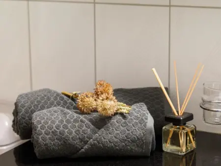 Mountain View, Appartement 6 personnes à Frutigen - Photo 25