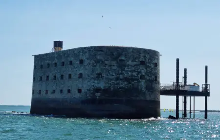 Location Appartement 6 personnes à Saint Palais sur Mer - Photo 19