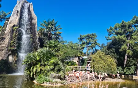 Location Appartement 6 personnes à Saint Palais sur Mer - Photo 21