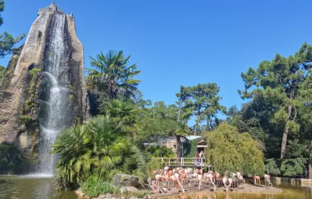 Location Appartement 2 personnes à Saint Palais sur Mer - Photo 16