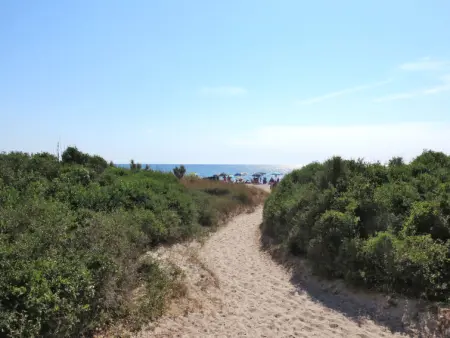 Chalet La Mazzanta, Maison 4 personnes à Vada - Photo 41