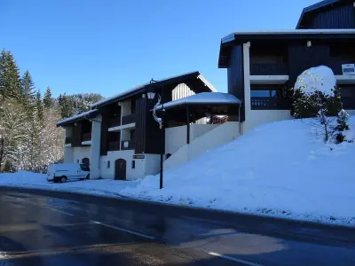Appartement à Les Gets, Les Gets : Duplex 3 Pièces - 6 Pers - Proche Pistes Turche - Navette Gratuite - Garage Inclus - L1010797