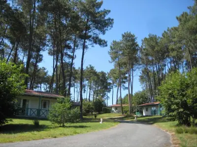 Chalet in Tamniès,Domaine des Grands Pins - Chalet Chataignier Confort avec climatisation 1314667 N°1010839