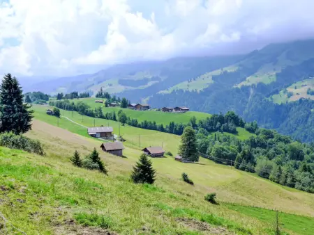 Bühl, Gite 4 personnes à Frutigen - Photo 2