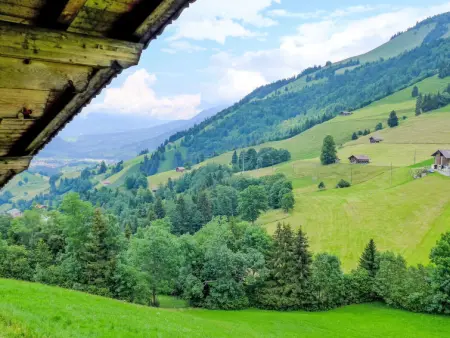 Bühl, Gite 4 personnes à Frutigen - Photo 19