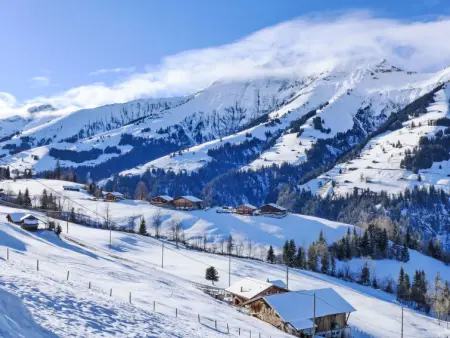 Bühl, Gite 4 personnes à Frutigen - Photo 22