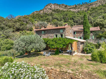 Location Gîte in La Garde Freinet,Les Glycines FR8457.608.1 N°1011179