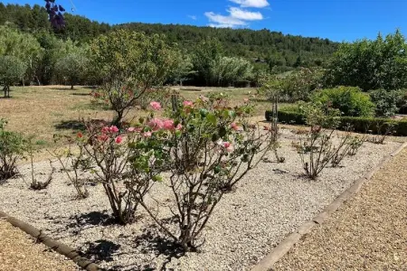 Villa les Hirondelles, Villa 8 personnes à Félines Minervois - Photo 32