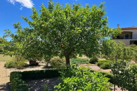 Villa les Hirondelles, Villa 8 personnes à Félines Minervois - Photo 33