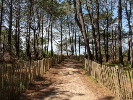 Maison Familiale à Gastes, 400m du Lac, Climatisée, Jardin, 6 Pers. - Ménage Inclus - Photo 28