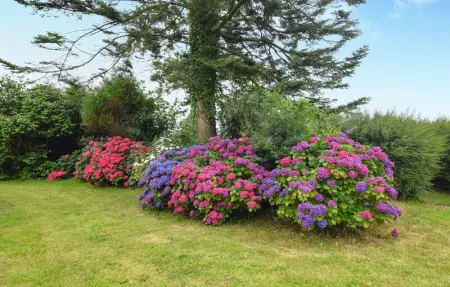 Location Maison 4 personnes à Gorges - Photo 12