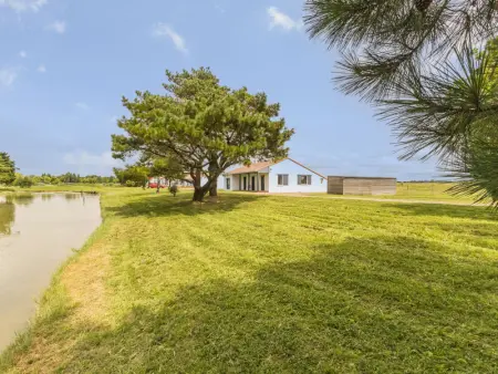 Maison calme, entourée de marais, proche plage et commerces, avec jardin et équipements complets - Photo 1
