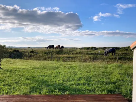 Maison calme, entourée de marais, proche plage et commerces, avec jardin et équipements complets - Photo 14