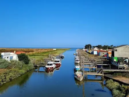 Maison calme, entourée de marais, proche plage et commerces, avec jardin et équipements complets - Photo 17