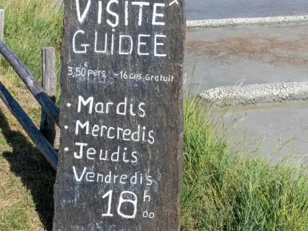 Maison calme, entourée de marais, proche plage et commerces, avec jardin et équipements complets - Photo 18