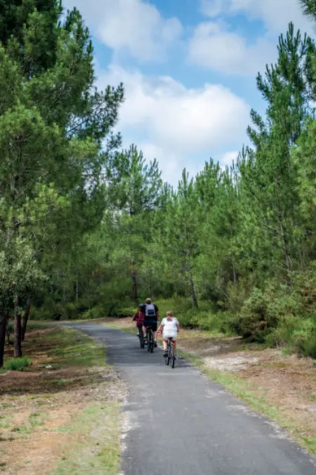 Les Cavales, Maison 2 personnes à Maubuisson - Photo 24