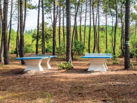 Les Cavales, Maison 2 personnes à Maubuisson - Photo 30