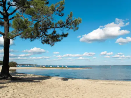 Les Cavales, Maison 2 personnes à Maubuisson - Photo 36