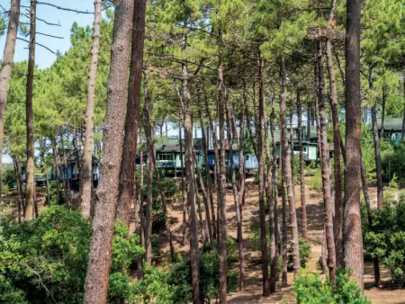 Les Cavales, Maison 6 personnes à Maubuisson - Photo 20