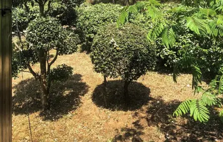 Location Maison 6 personnes à La Tranche Sur Mer - Photo 6