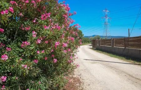 Location Maison 6 personnes à Roccastrada - Photo 10