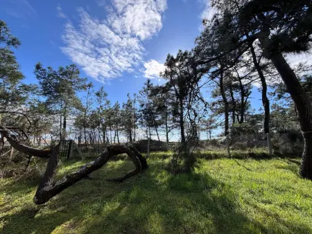 Maison rénovée 3 chambres près de l'océan avec jardin fermé et WiFi - Photo 22
