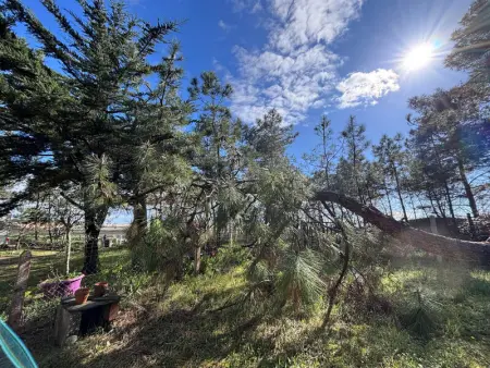 Maison rénovée 3 chambres près de l'océan avec jardin fermé et WiFi - Photo 23