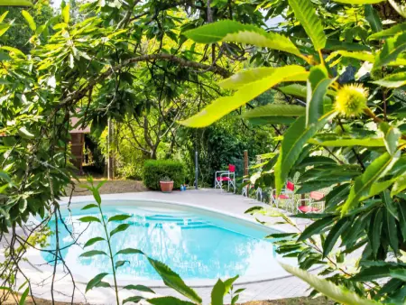 I Tre Castagni, Gite 6 personnes à Piegaro - Photo 1