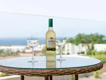 Apt. moderne avec jacuzzi privé à Agaete, Appartement 4 personnes à Agaete - Photo 20