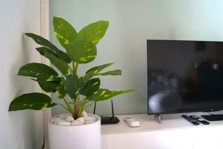 426428, Maison 4 personnes à Desenzano del Garda - Photo 8