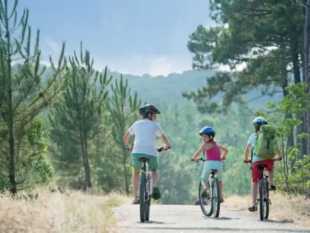 Les Sentes, Maison 4 personnes à Maubuisson - Photo 24