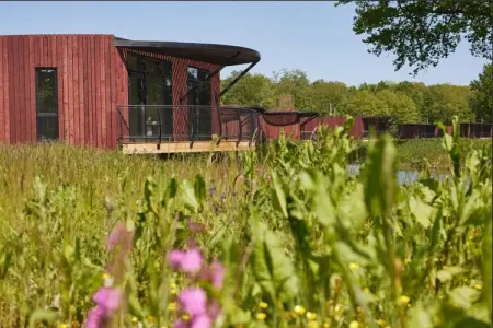 The TreeLoft by YourNature, Maison 4 personnes à Antoing - Photo 37