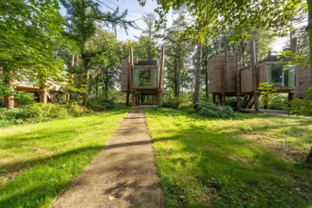 The TreeLoft by YourNature, Maison 4 personnes à Antoing - Photo 20