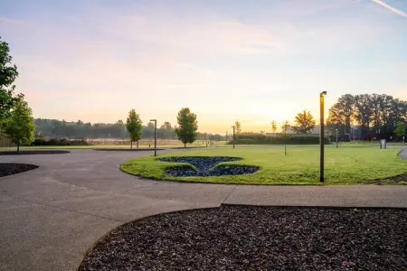 The TreeLoft by YourNature, Maison 4 personnes à Antoing - Photo 25