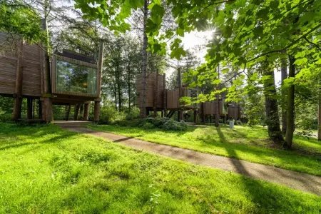 The TreeLoft by YourNature, Maison 4 personnes à Antoing - Photo 9