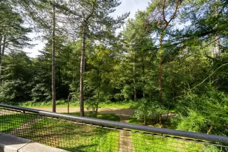 The TreeLoft by YourNature, Maison 4 personnes à Antoing - Photo 37