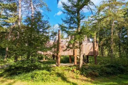 The TreeLoft by YourNature, Maison 4 personnes à Antoing - Photo 1