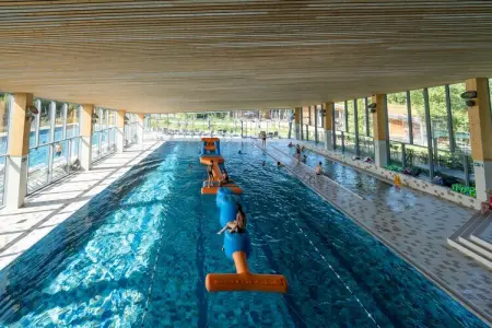 The TreeLoft by YourNature, Maison 4 personnes à Antoing - Photo 8