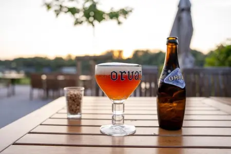 The Leaf by YourNature, Bungalow 4 personnes à Antoing - Photo 36