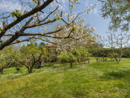 Casa Gianna, Villa 7 personnes à Massarosa - Photo 43