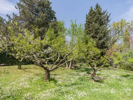 Casa Gianna, Villa 7 personnes à Massarosa - Photo 44