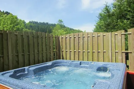 Ambleve, Villa dans les Ardennes près des Coo - Photo 25